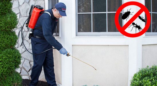 Kınık Dezenfeksiyon böcek ilaçlama ve haşere kontrolü — ilaclama-tr.com